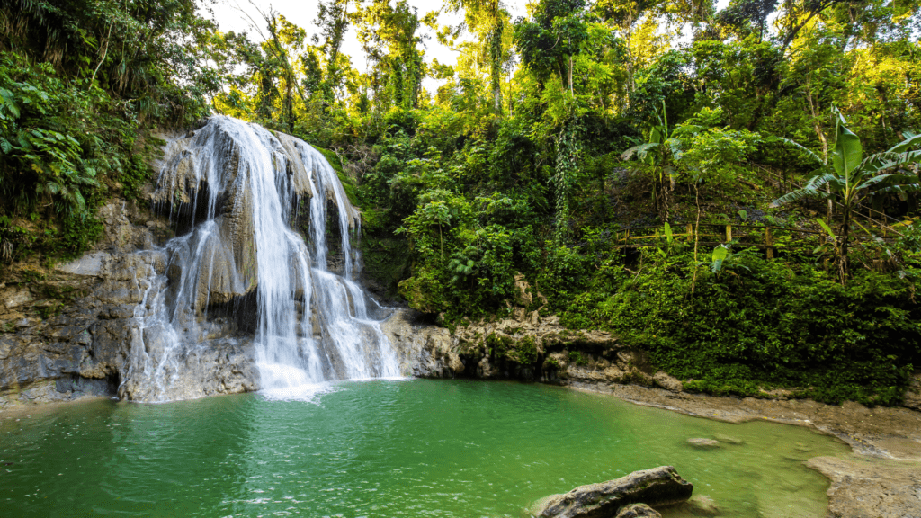 Puerto Rico Waterfall