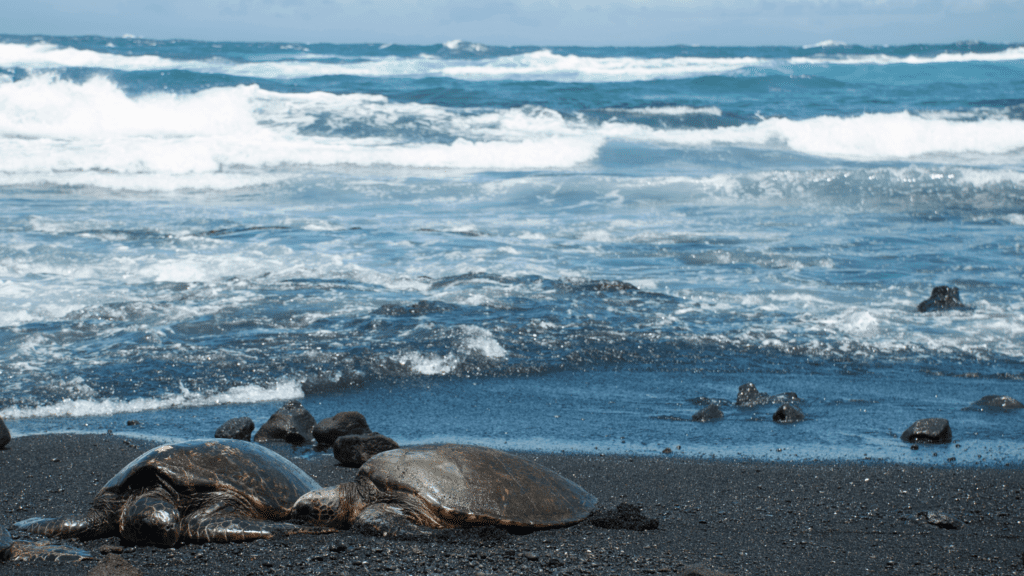 Hawaii science trip